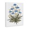 Stupell Industries Where Wild Flowers Bloom Canvas, design by Cecilia Battaini